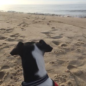 Meet your Posher, Leah